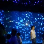 Kaca tangki aquarium ubur-ubur 2018