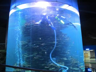 tangki iwak akrilik cilik tabung sing cetha kanggo aquarium utawa taman laut