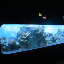 Pabrik Acrylic Cylindrical Transparan akuarium ikan / view window
