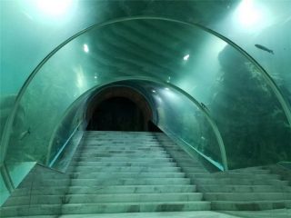 Harga project aquarium tunnel acrylic