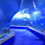 Clear pmma acrylic Tunnel plastik gedhe saka akuarium