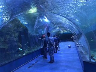 Aquarium trowongan akrilik plexiglass khusus