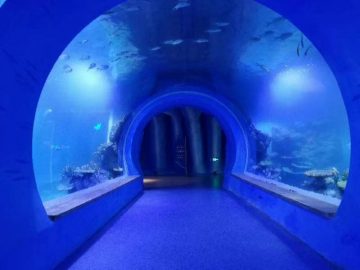 Aquarium tlaga akrilik gedhe sing cetha benten macem-macem