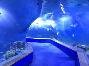 transparent acrylic glass Aquarium tunnel